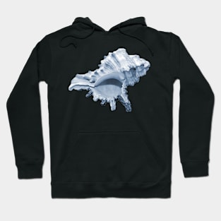 Grand blue conch seashell Hoodie